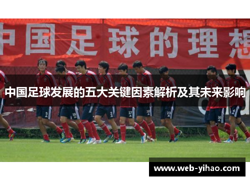 中国足球发展的五大关键因素解析及其未来影响