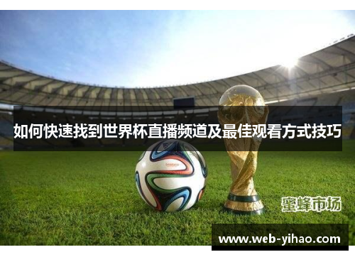 如何快速找到世界杯直播频道及最佳观看方式技巧