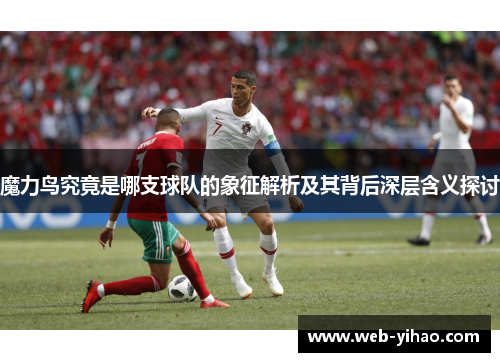 魔力鸟究竟是哪支球队的象征解析及其背后深层含义探讨